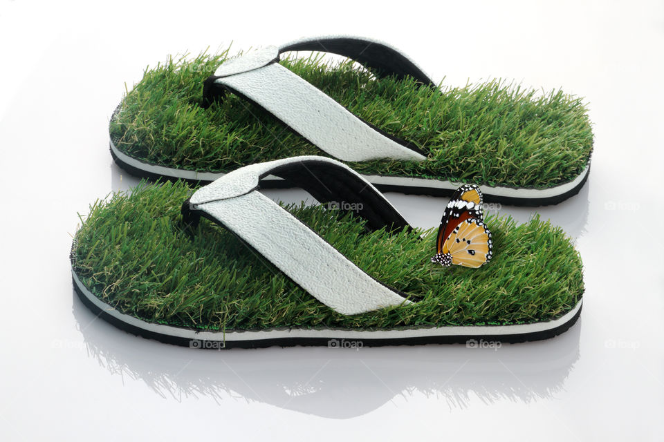 Butterfly on a green grass slipper. Walk with the Nature concept.