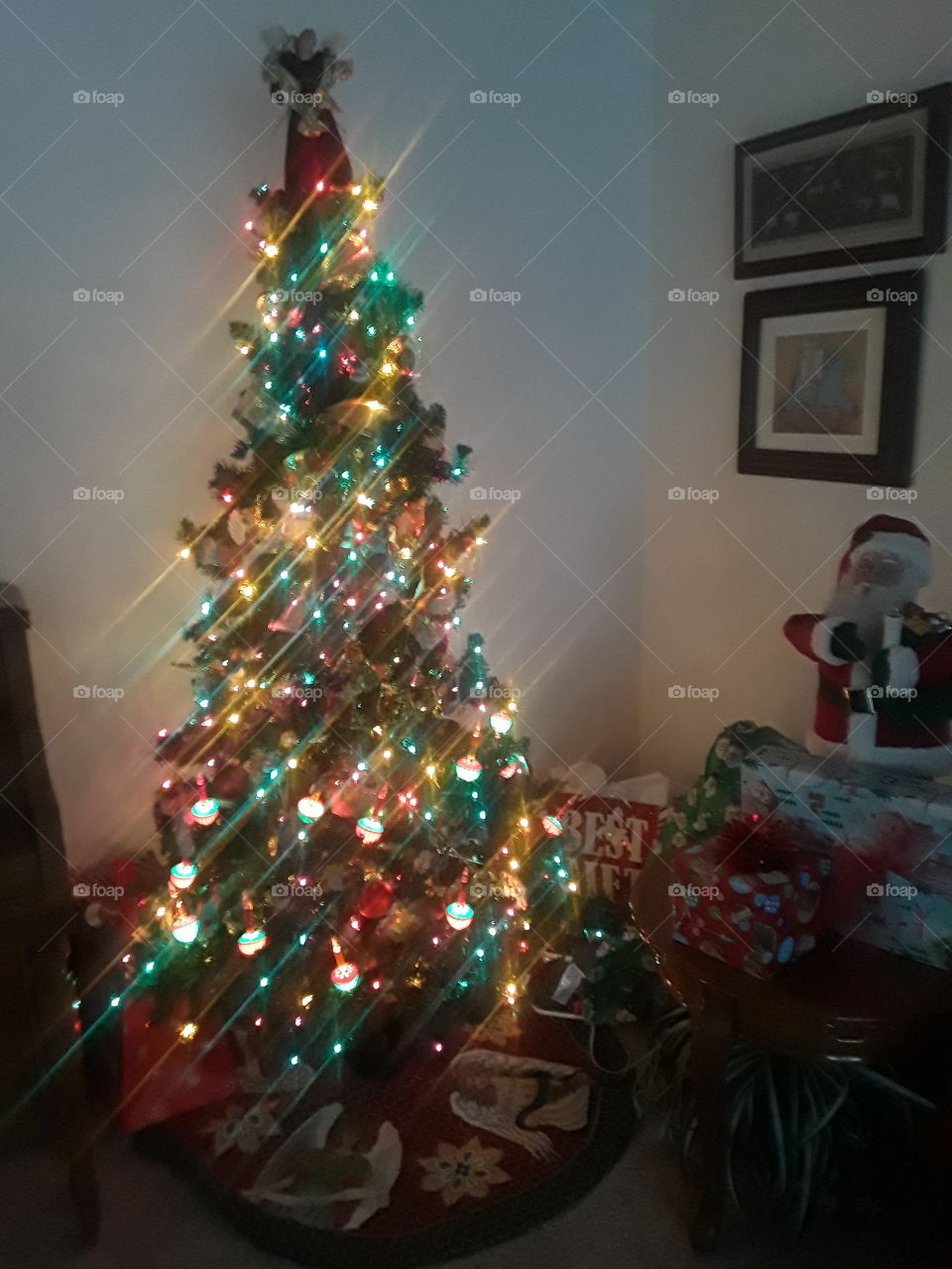 Christmas Tree In Home