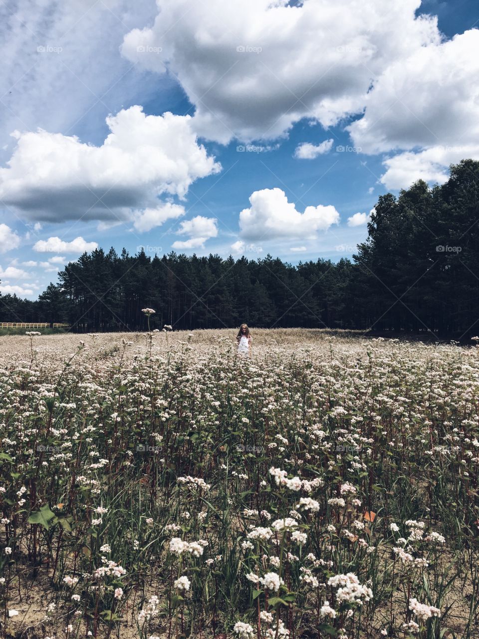 Girl in the field