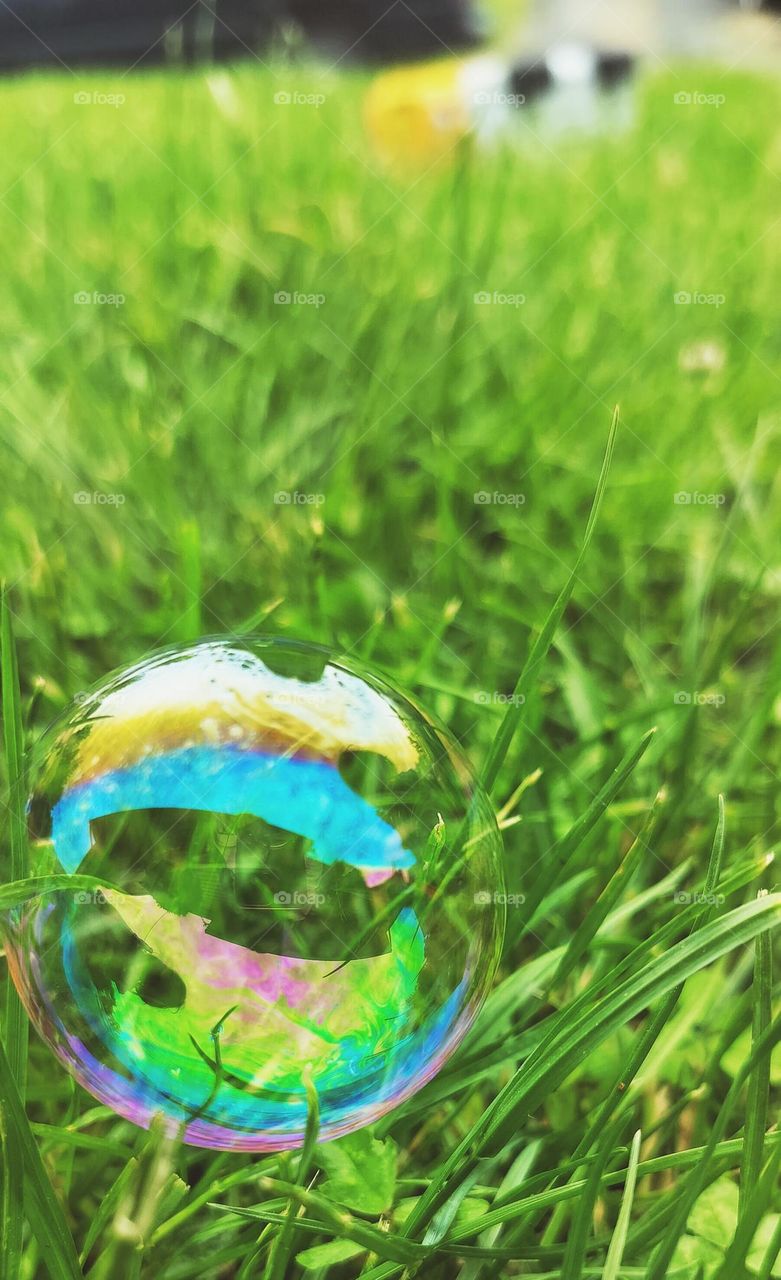 Colorful bubble on the green grass after a summer rain