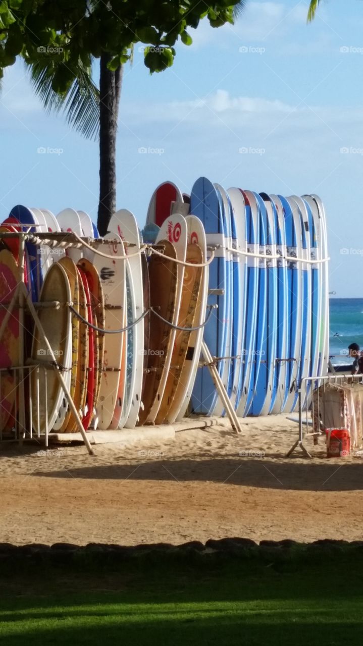Waikiki Beach Surf Boards