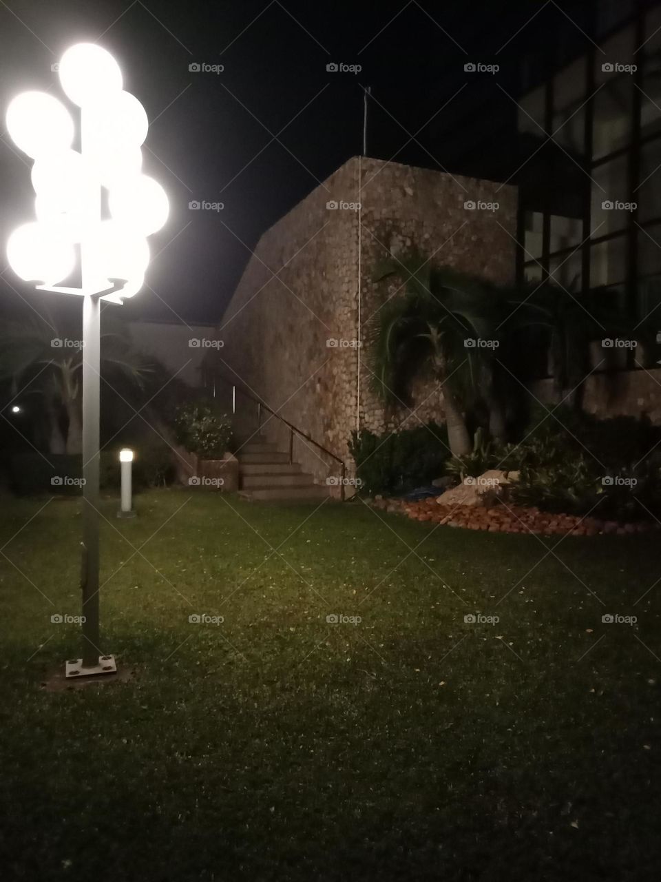 Garden at night