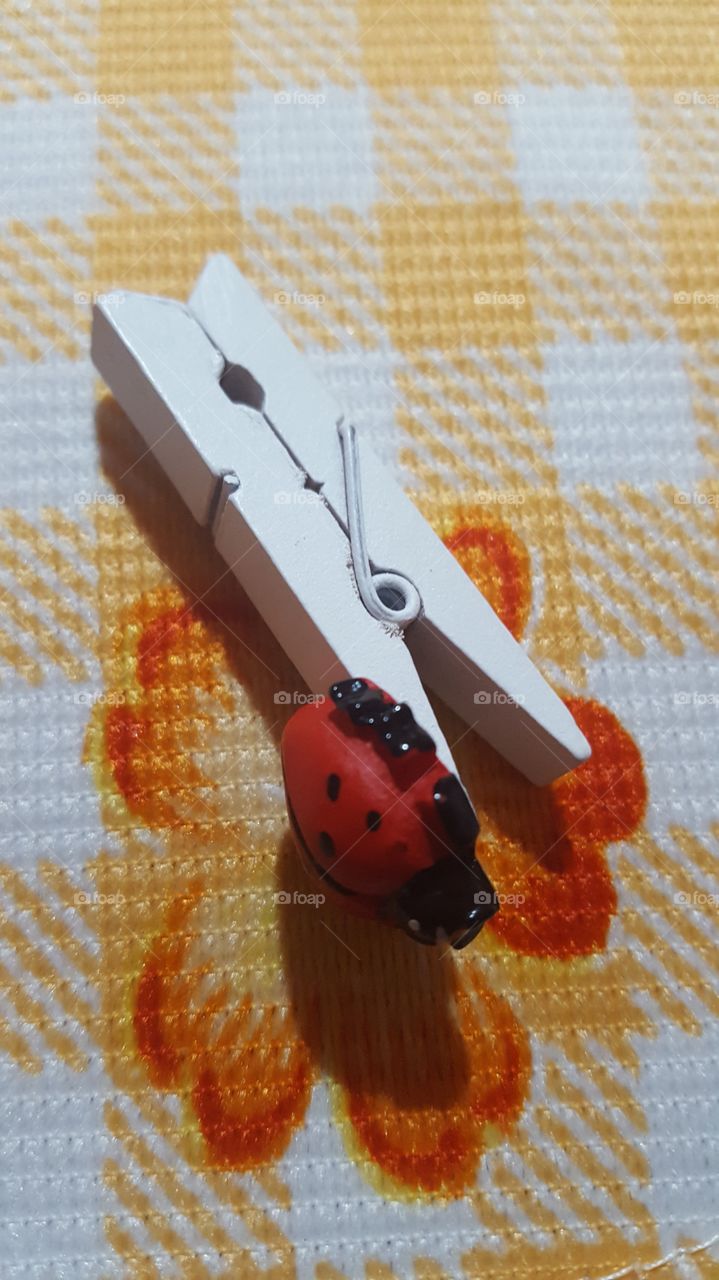 A ladybug clip