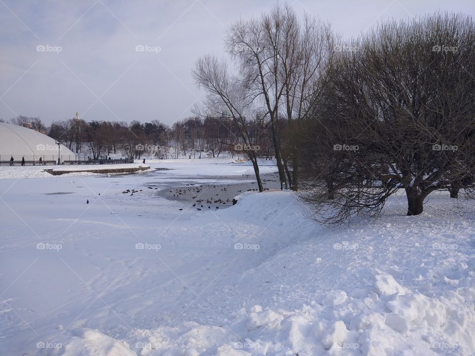 Москва, парк "Царицыно"