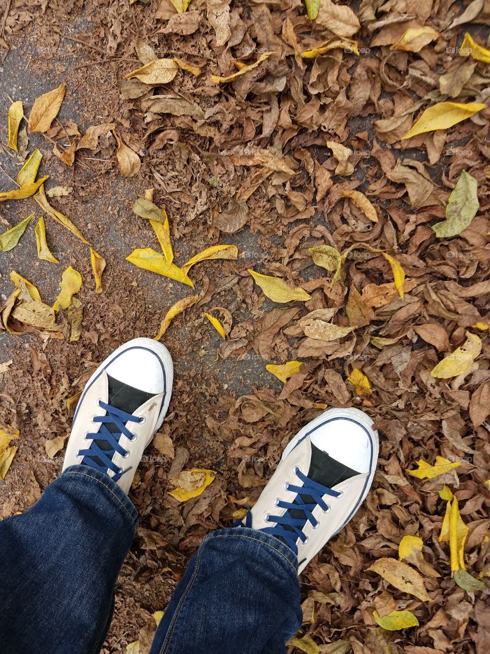 A man outdoors stands in a pile of leaves changing colors as the season of fall foliage kicks in.