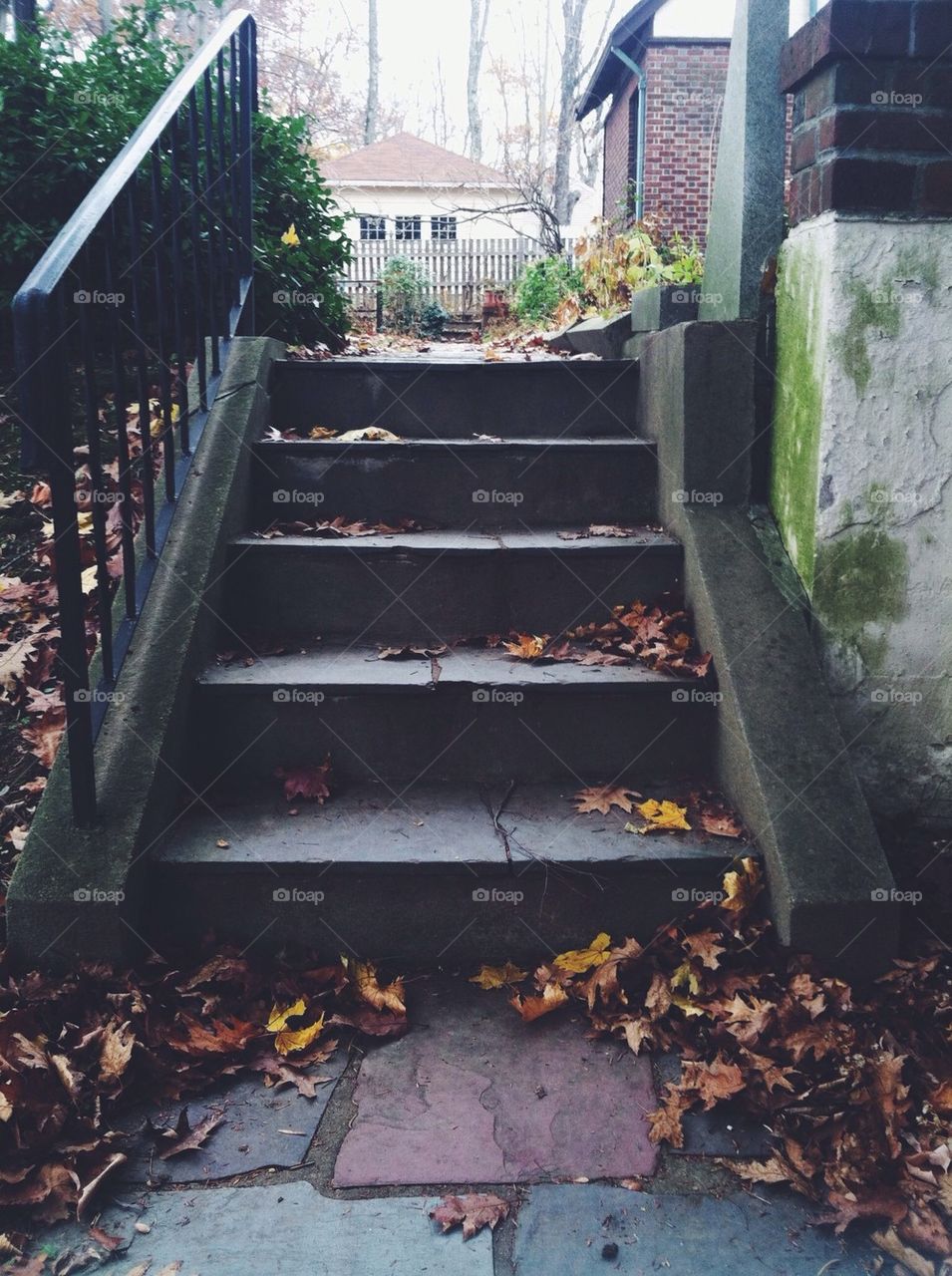 autumn stairs