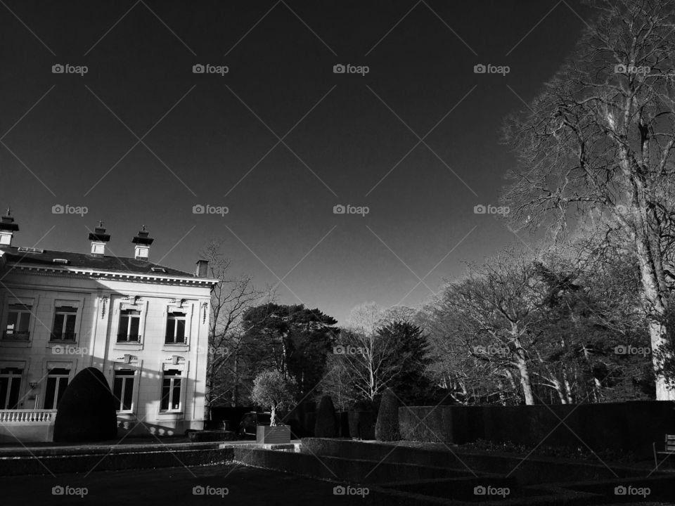 Winter in a park in Antwerp, Belgium.