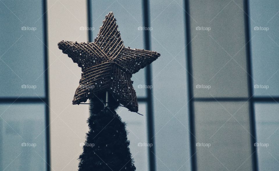 Christmas tree against building