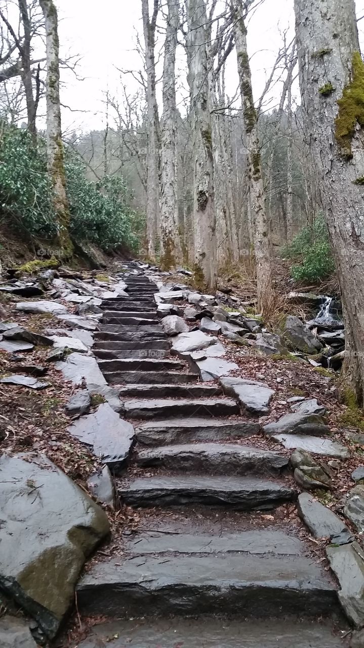 Chimney Tops. Chimney Tops TN