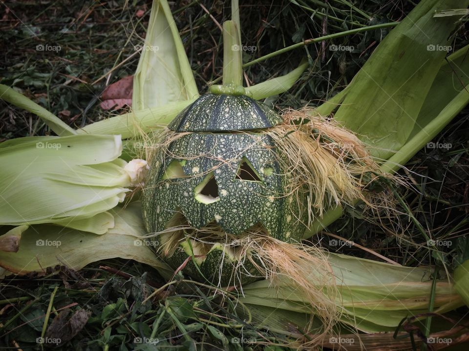 Halloween pumpkin scary face
