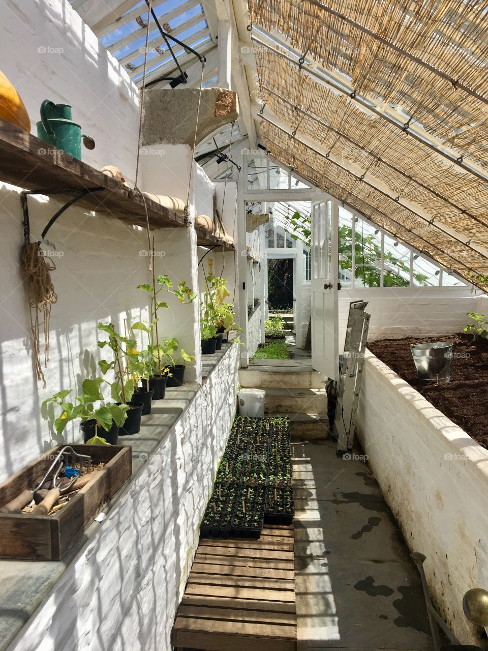 Plants and  Herbs glasshouse 