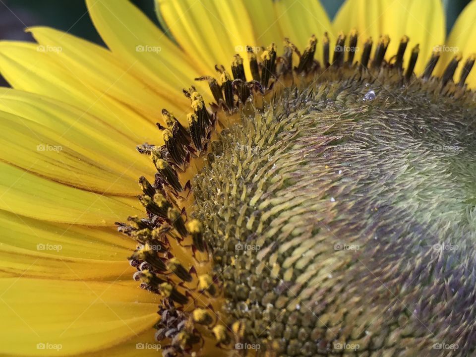 Close up and texturized