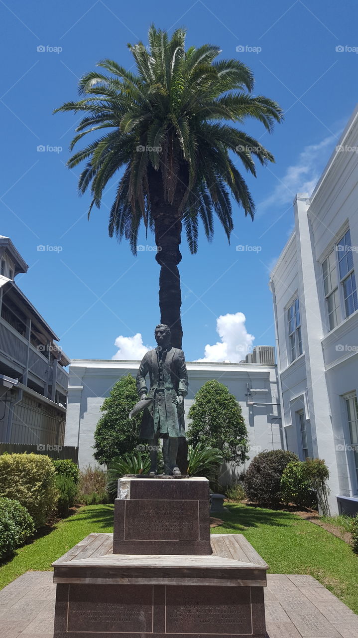 statue in front of a large palm tree