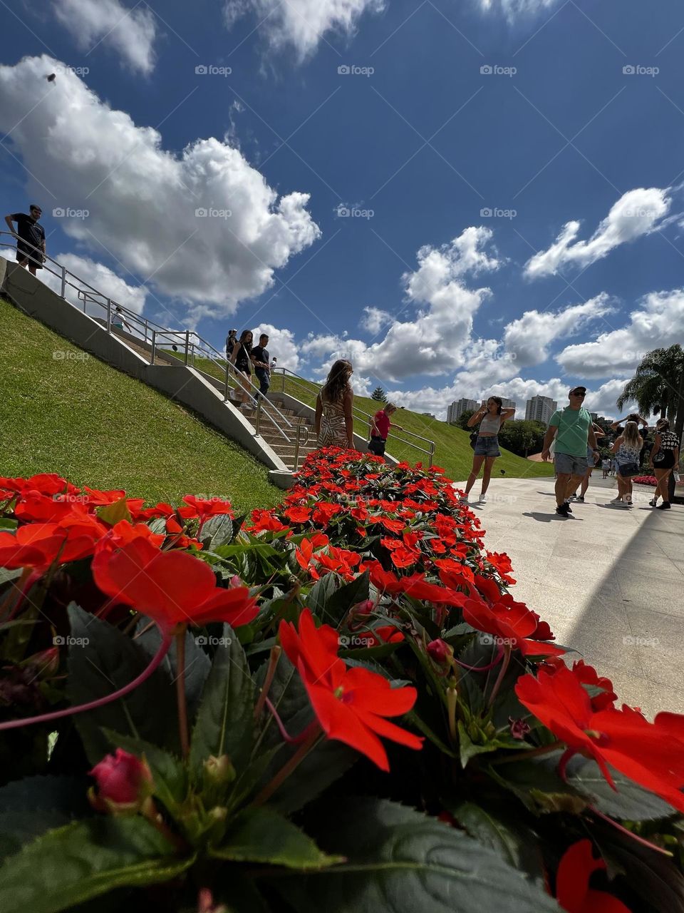 A vibrant row of red flowers in the foreground, standing out against a lush blue sky with fluffy white clouds. People walk in the background on a sunny walk, bringing a feeling of joy and life to the scenery.