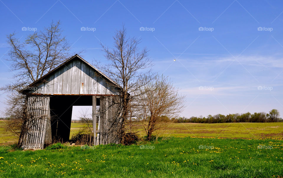 barn