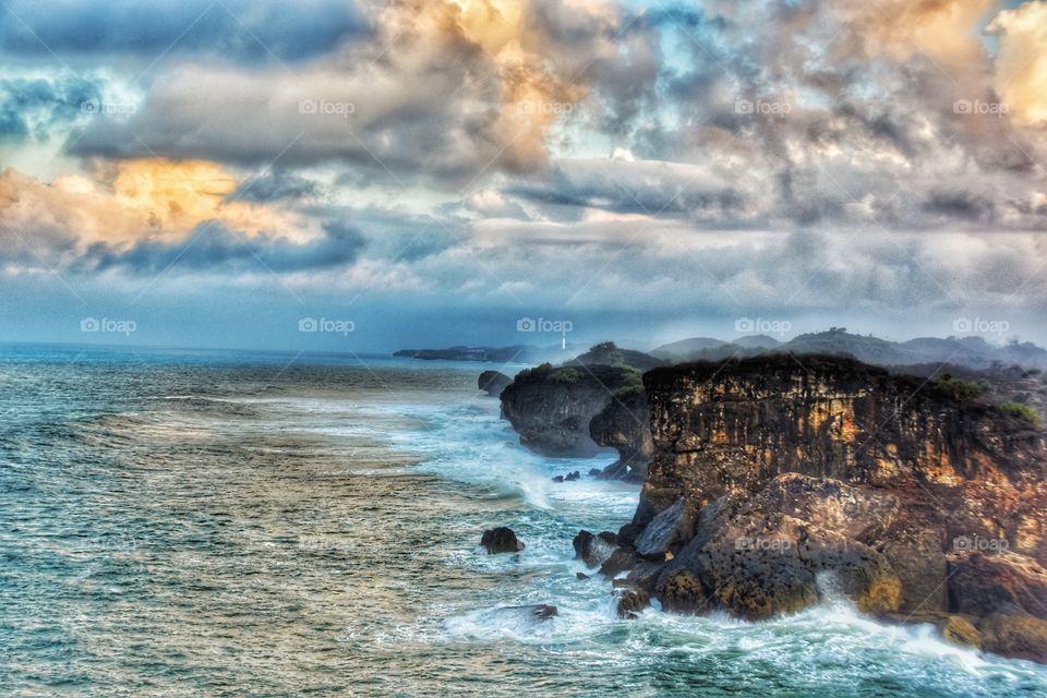morning glory at the beach