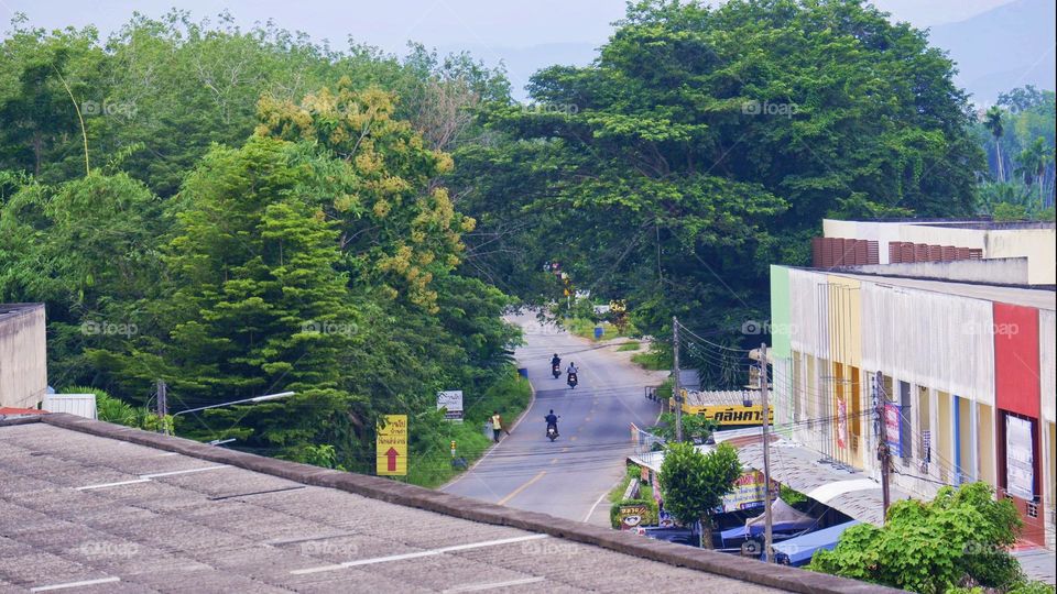 communities, roads, houses, trees, buildings