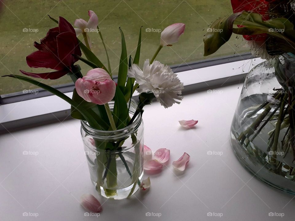 flowers in vase