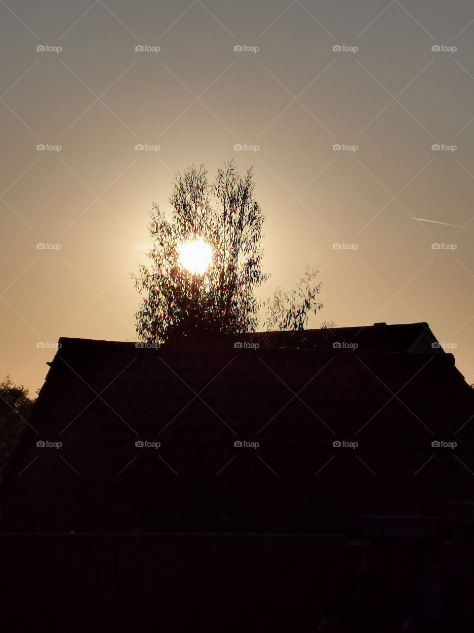 The sun setting through a tree just above the roof of a house on a clear sky evening.