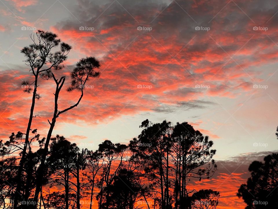 Magnificent orange cloudscape.