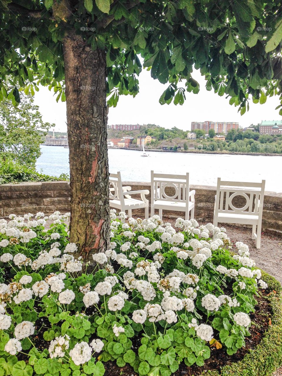 chairs with a stockholm view