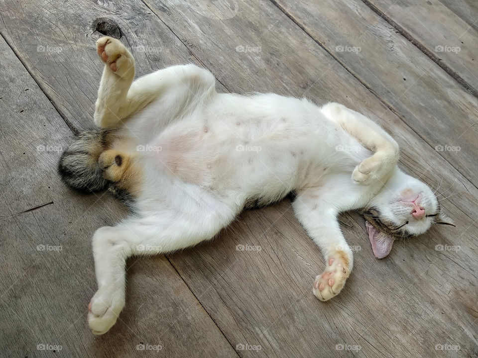 after coming home from playing immediately fell asleep