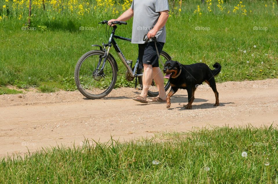 men walking with bike and dog pet summer time