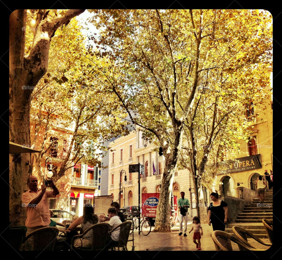 street tree sun restaurant by Fotofleeby