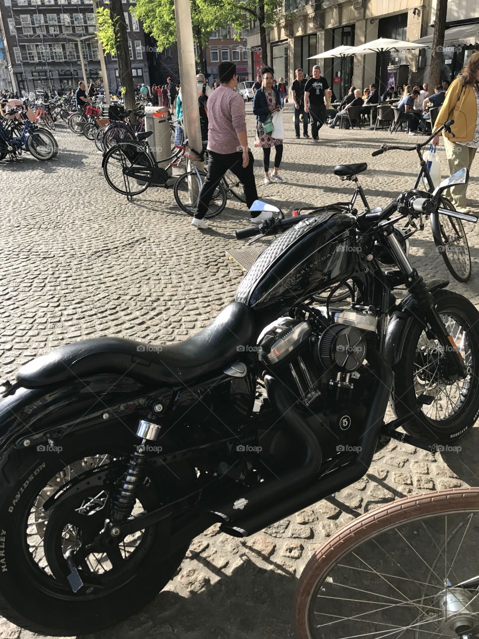Harley 
Harley Davidson
Motor Cycle
Bike
Netherlands 
Amsterdam 
