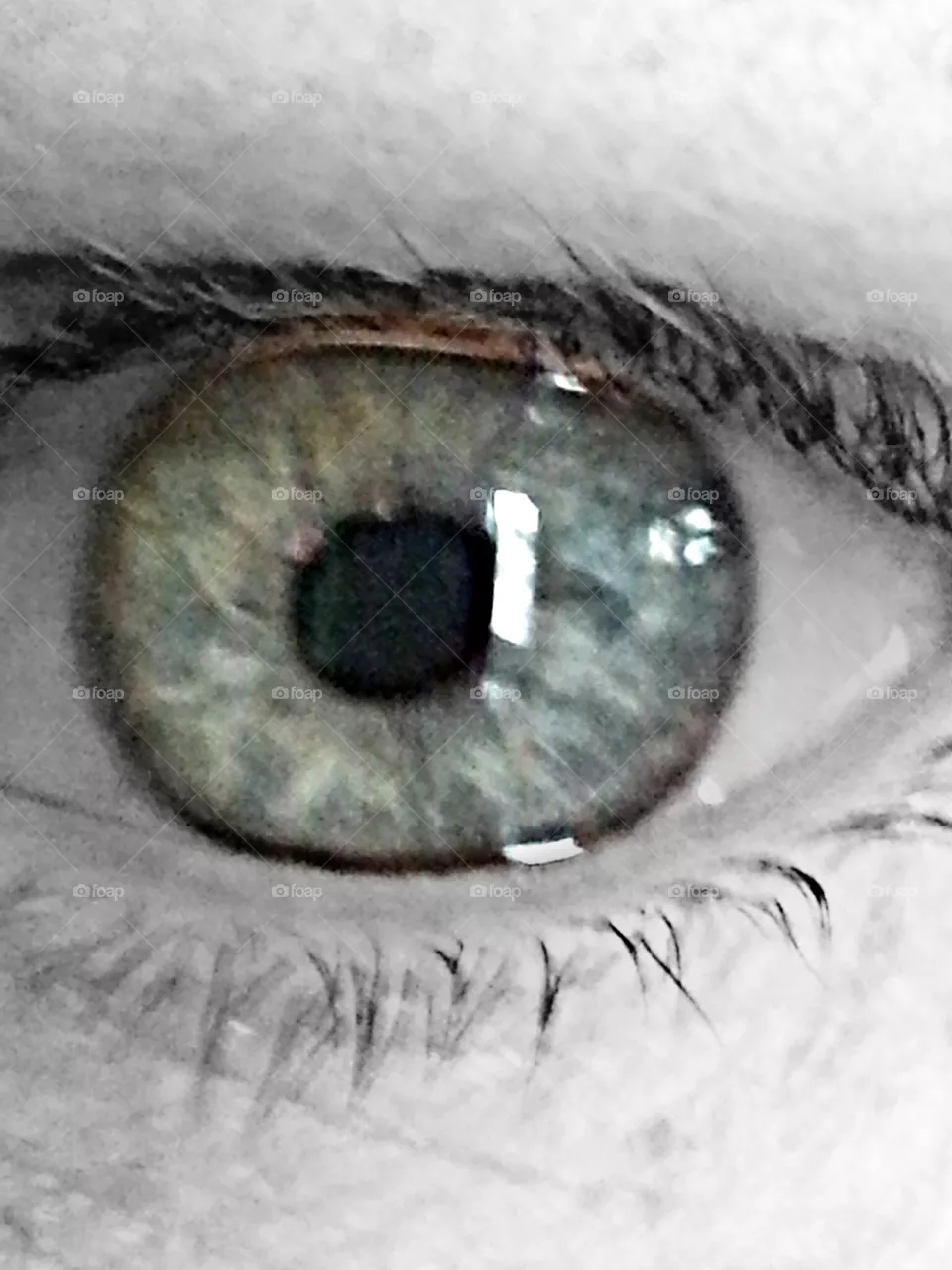 eyes