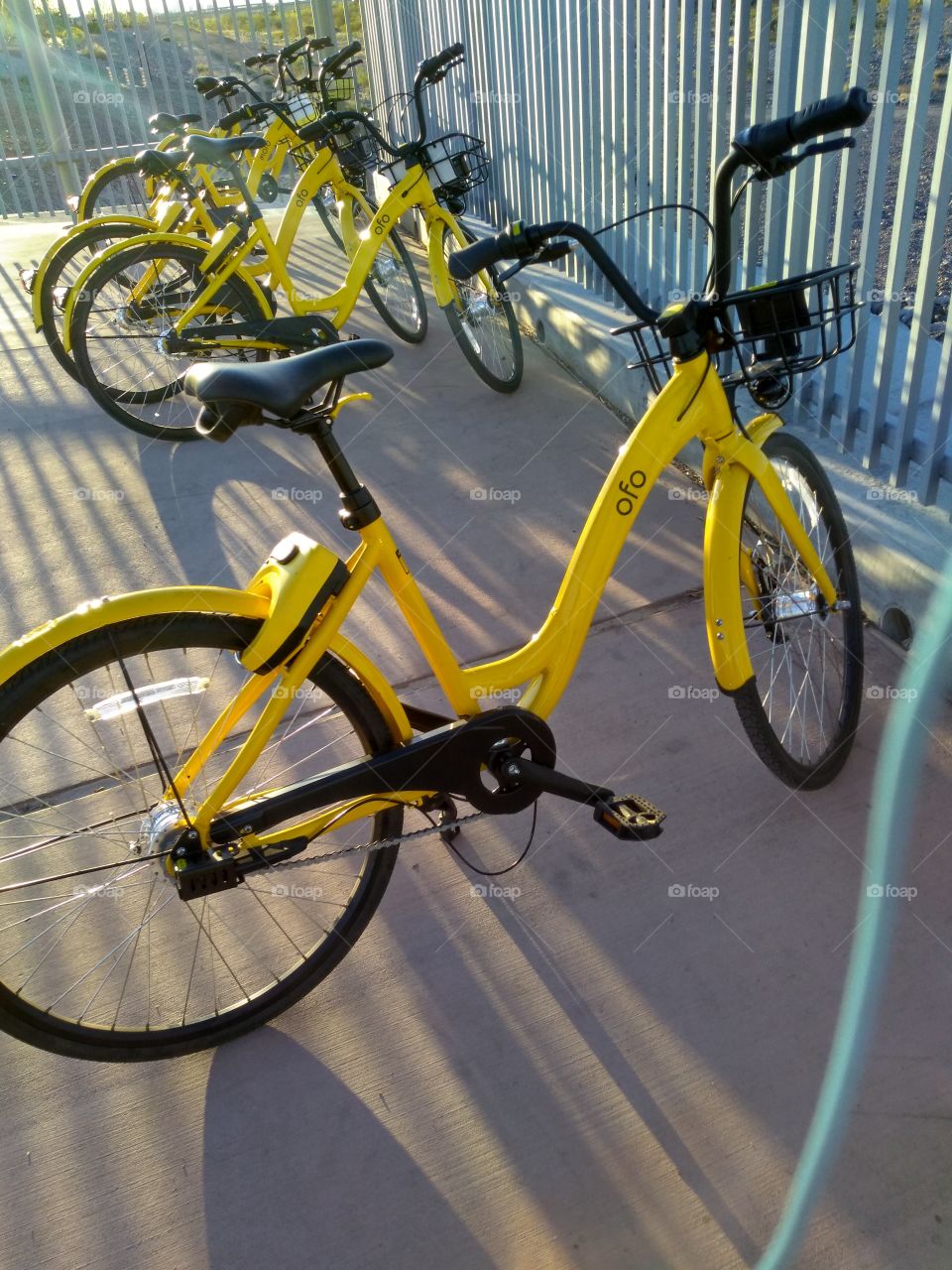 ofo bikes - the ride was nice!