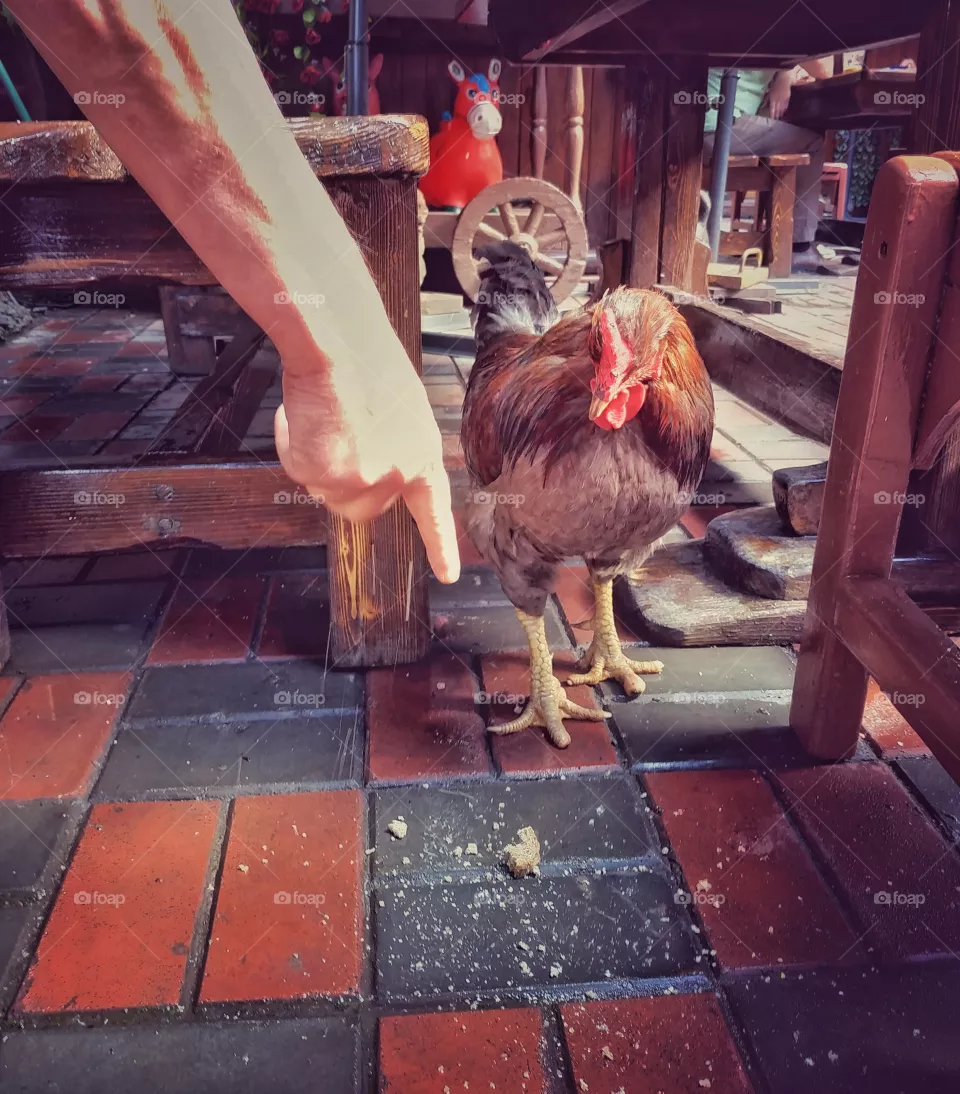 Eat it!
