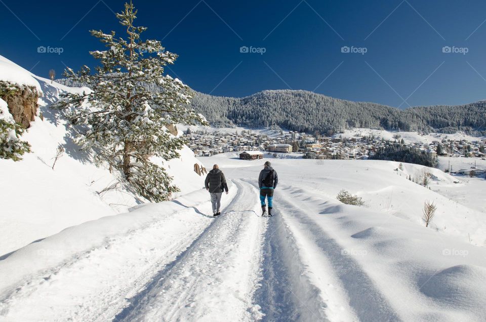 Winter landscape From Bulgaria, Village Ravnogor