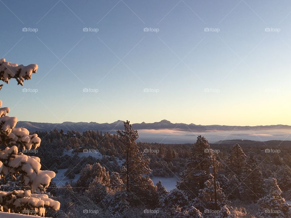 Colorado morning in the mountains 