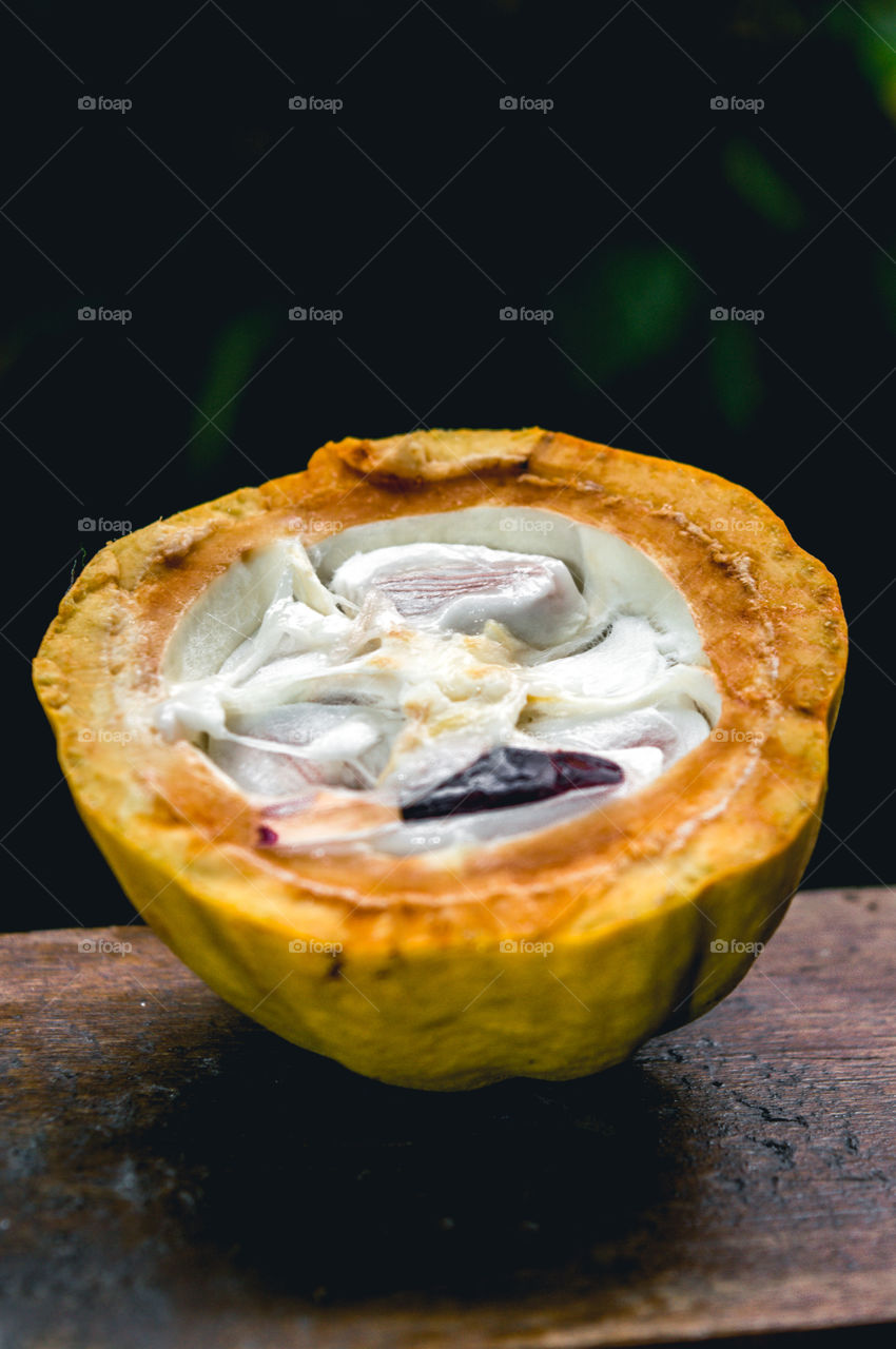 Cocoa is a naturalized and non-endemic plant in Brazil. From it we obtain the cocoa fruit used as a raw material in the production of chocolate.