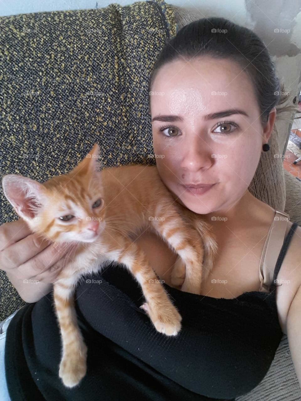 Gatinho Cariciando a Dona