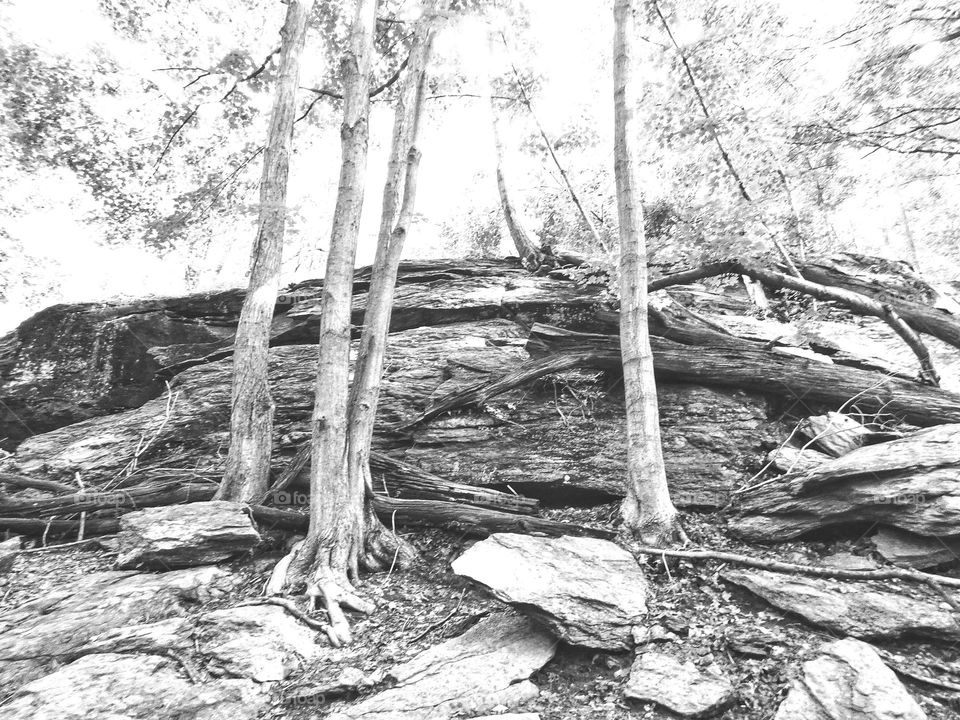 Walkabout at Lake Mohegan in Fairfield, CT