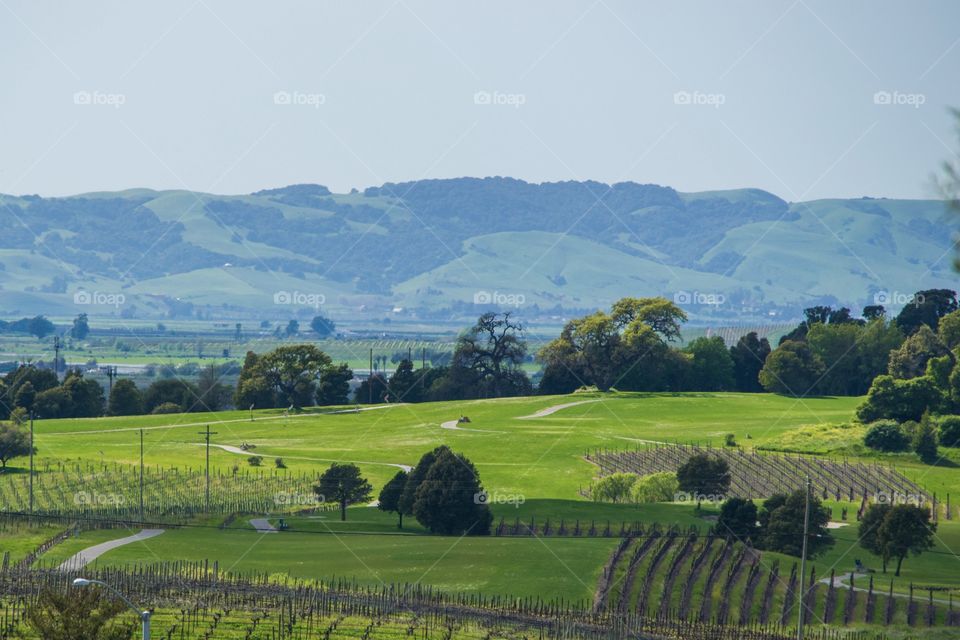 Countryside in California