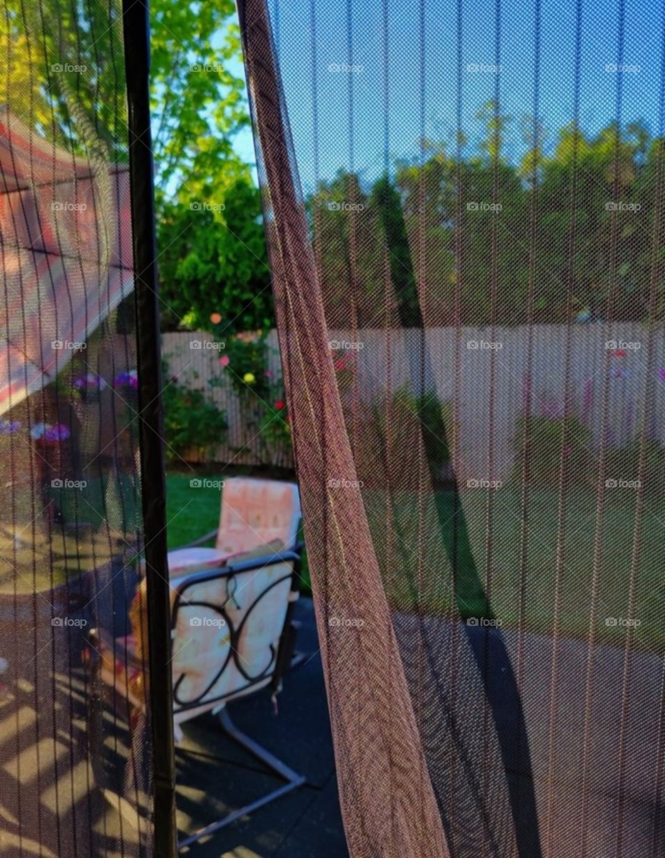 mesh window/doorway into our backyard oasis