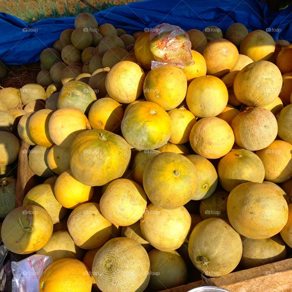 A pile of melons ready to be sold or marketed