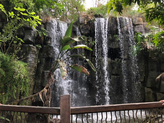 Waterfall ☺️