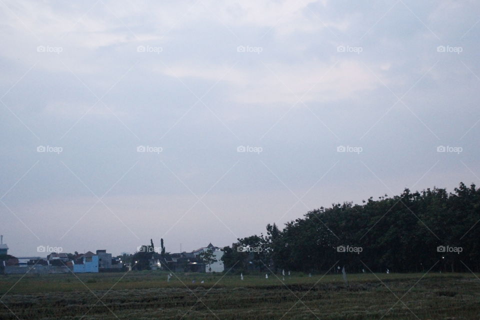 beautiful blue sky in the field