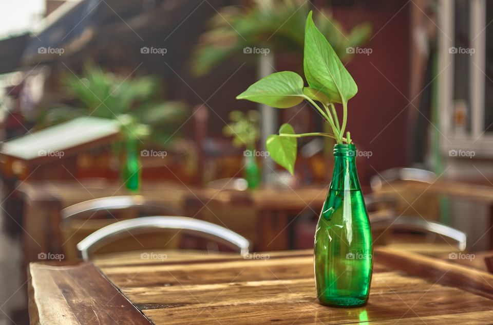 Green glass bottle resting on a table containing a leaf. Decorative element.