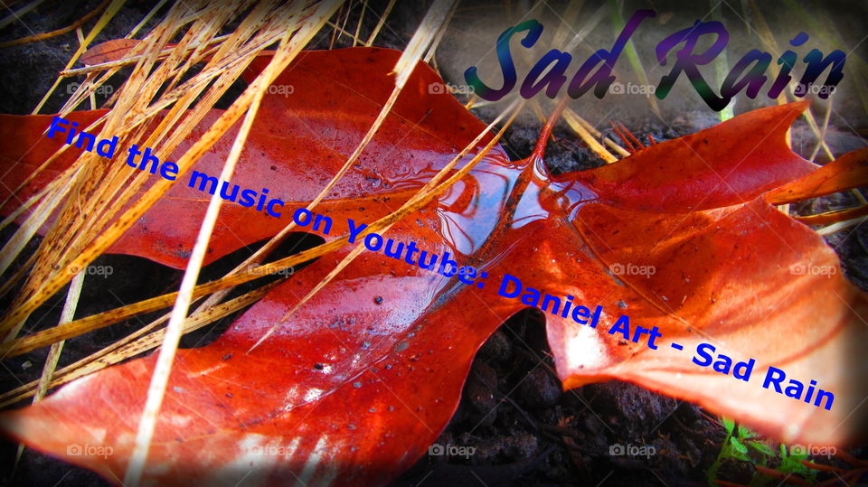 Daniel Art - Sad Rain
