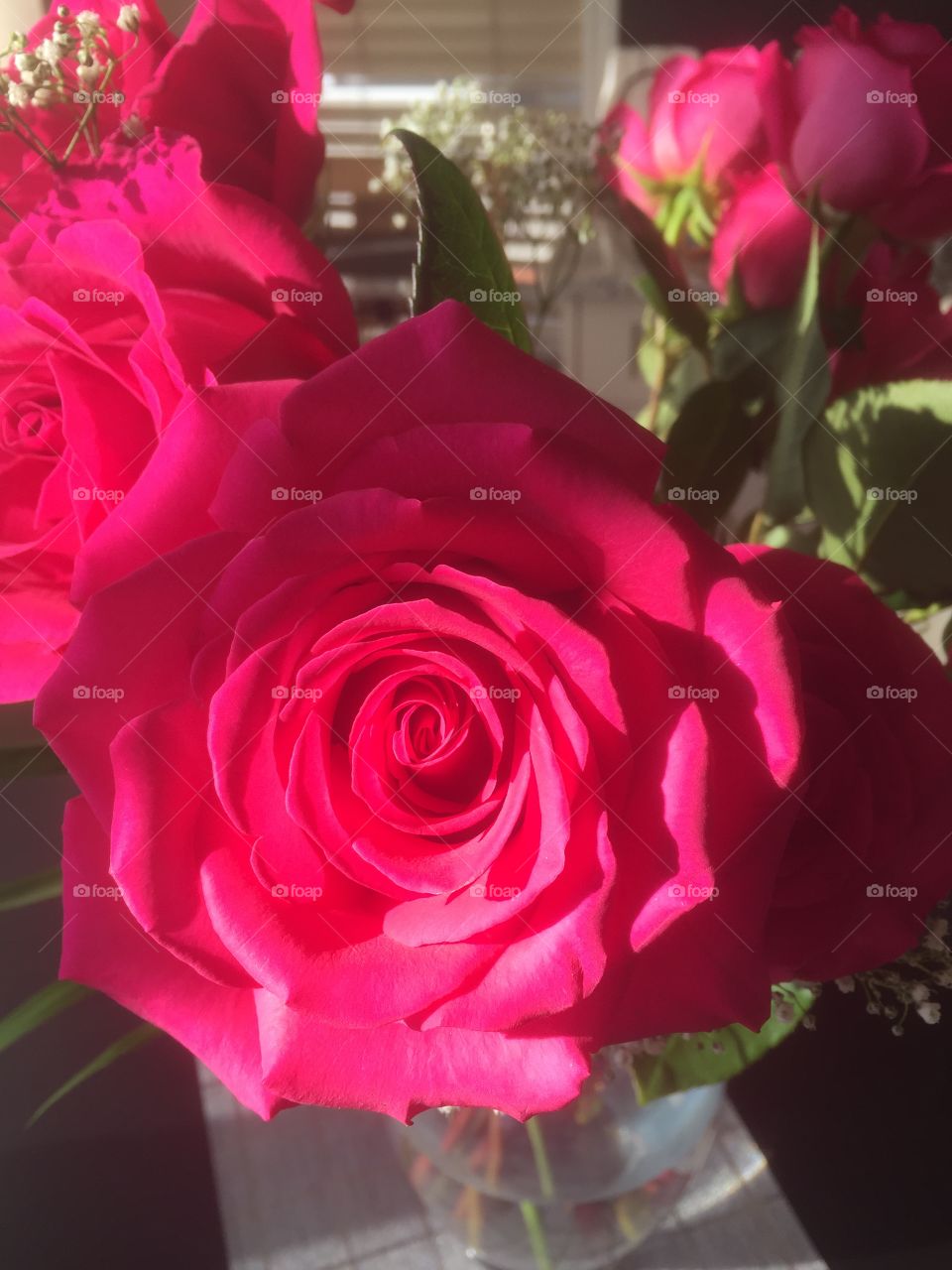 Rose, Flower, Bouquet, Love, Romance