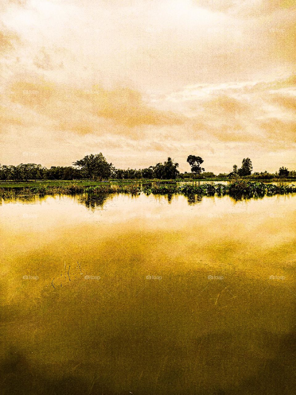 I took this photo myself. There is water in the river and clouds in the sky. This landscape looks very beautiful. This river of our village is very beautiful.