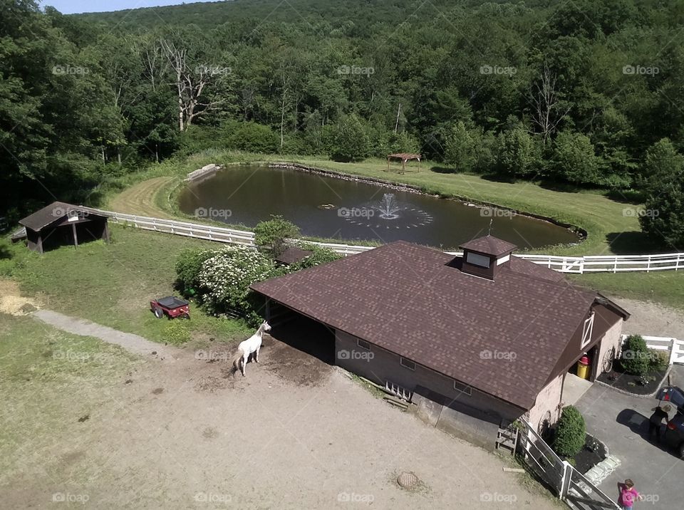 Horse farm with pond