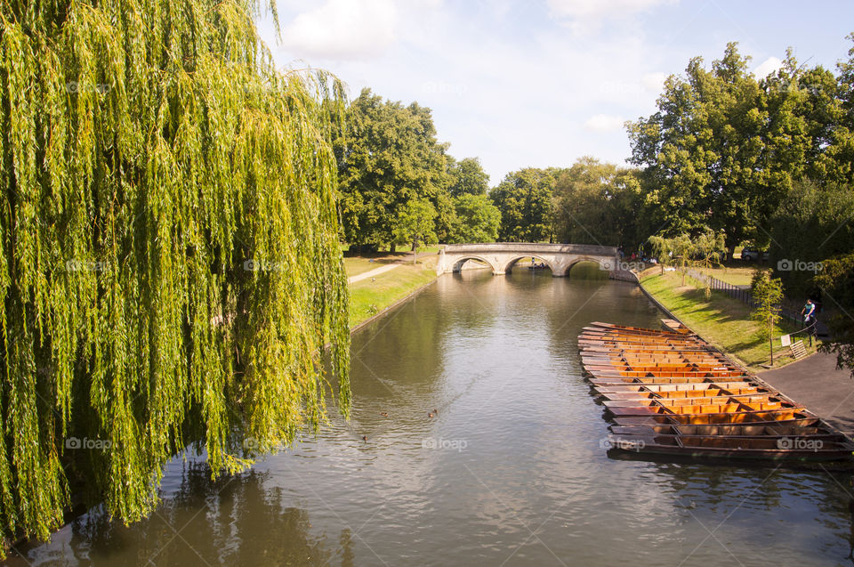 Punting view in Cambridge 