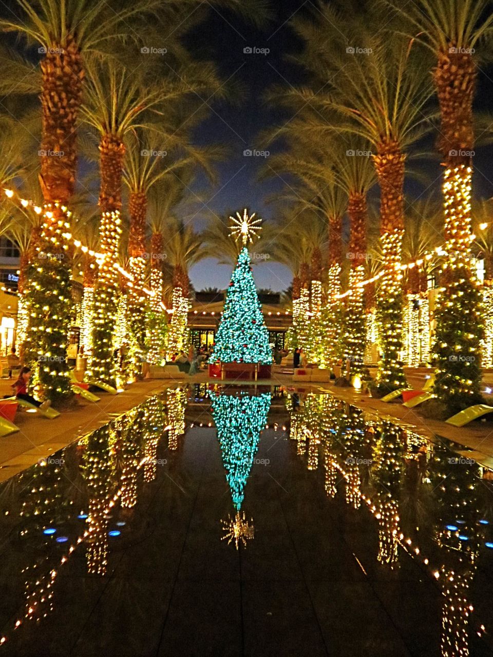 Dazzling Holiday Lights.