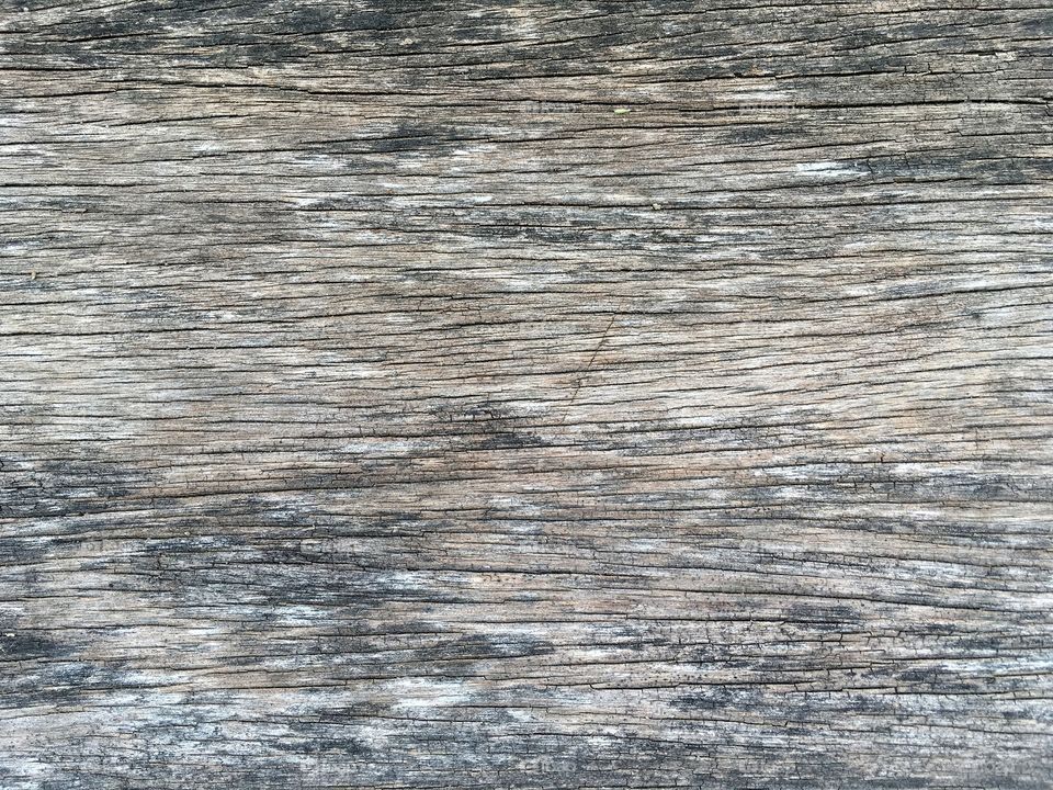 Old wood plank floor texture